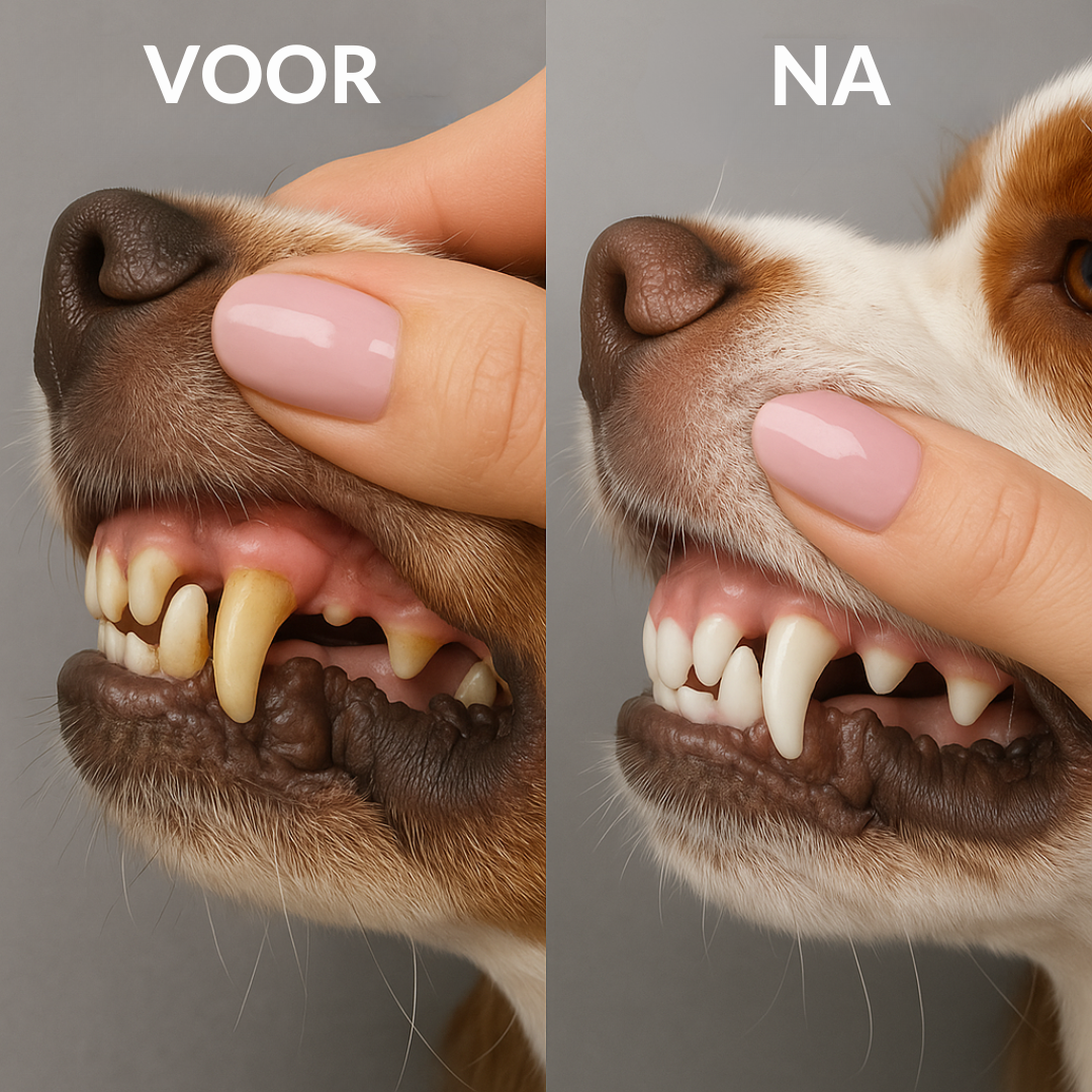 PetSmile Gel™ | Moeiteloze mondverzorging voor huisdieren