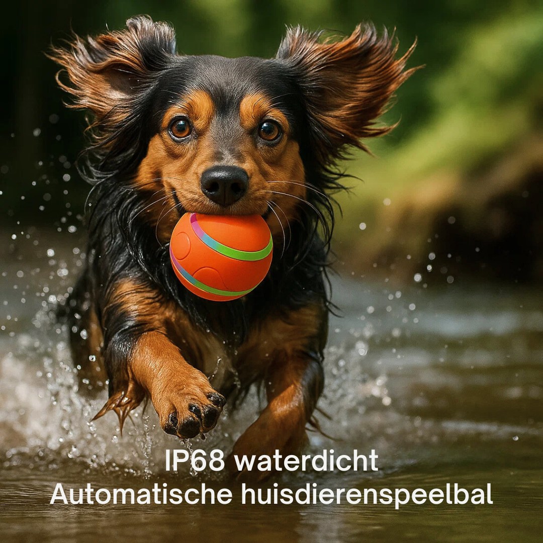 WoefBall Pro™ | Speeltijd die nooit stopt