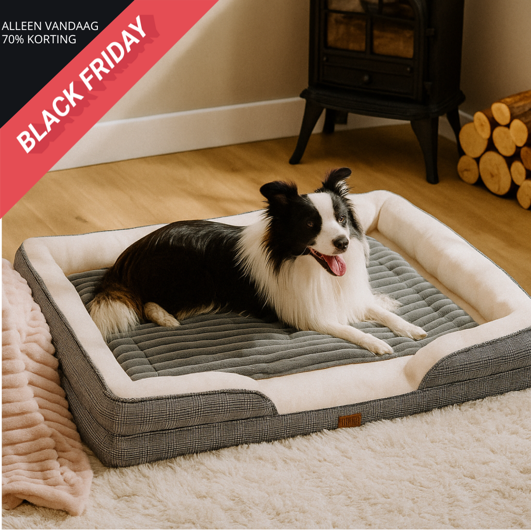 WarmNest™ | Houd uw huisdier warm en behaaglijk deze winter